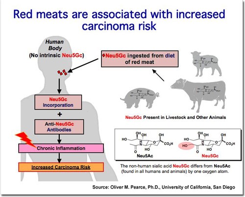 carne roja carcinoma